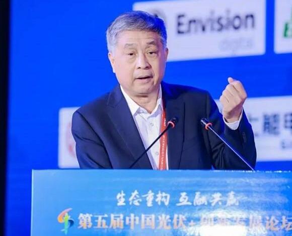 王勃華:我國光伏行業發展已形成“雙循環”格局