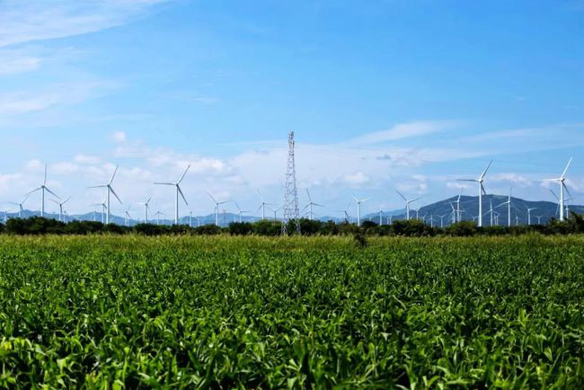 收購墨西哥818MW光伏電站,國家電投境外光伏電站裝機超6GW