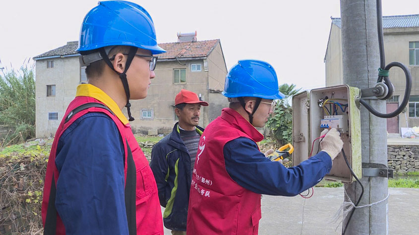 國網寧波市鄞州區供電公司：備戰藺草冬種 “電保姆”巧解難題