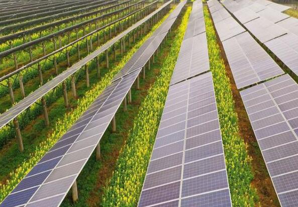 廣東清遠建設小型農(nóng)光互補光伏發(fā)電站,工程總投資1.5億元