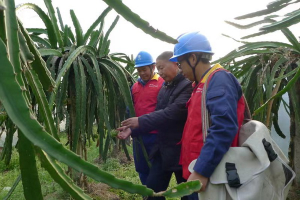 國網寧?？h供電公司：“電力紅馬甲”護航，退役軍人鄉(xiāng)村創(chuàng)業(yè)“紅如火”