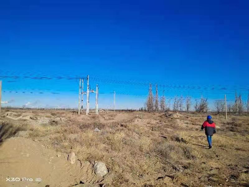 烏海電業局農電處千里山農電所：加強巡線，確保冬季電網安全