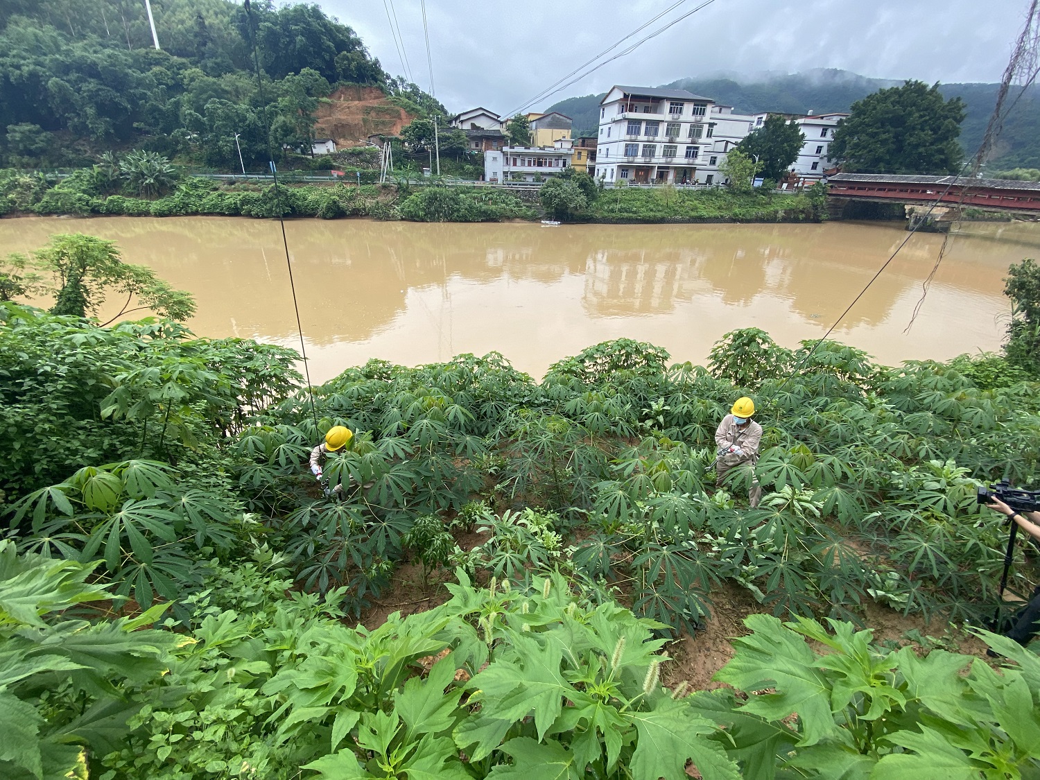 國網泉州供電公司聞“汛”而動保障供電安全