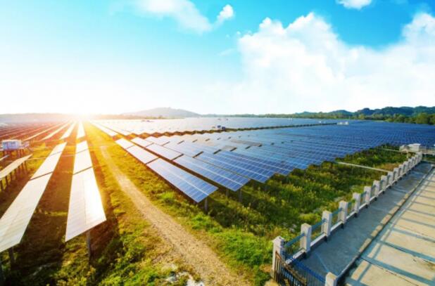 萬華化學投建140MWp農光互補型光伏發電項目，再添新能源發展活力