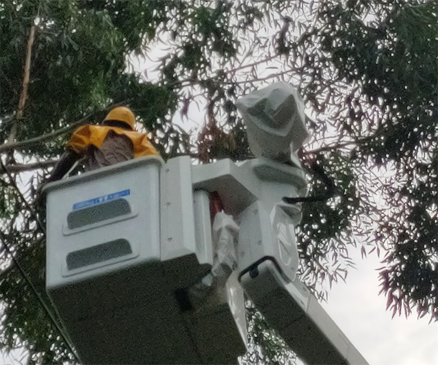 國網閩侯縣供電公司檢修不停電作業 提升用戶用電獲得感