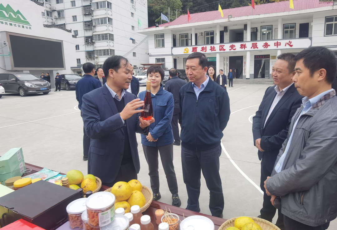 中核集團(tuán)總經(jīng)理、黨組副書記顧軍赴陜西白河、旬陽調(diào)研鄉(xiāng)村振興工作