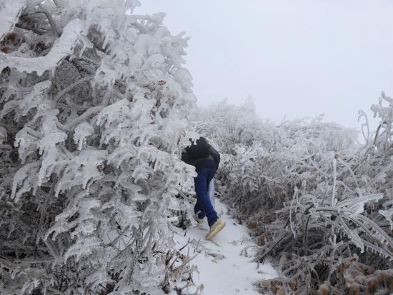 【新春走基層】迎雪而上攻堅行，奮戰不息護光明