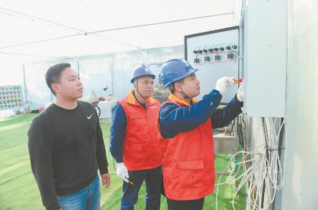 國網平潭供電公司為養殖基地大棚更換開關