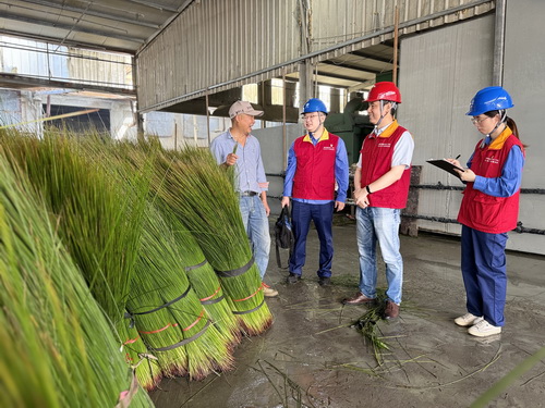 國網寧波供電公司海曙供電分公司:守護綠色“草”經濟 電力服務跑出鄉村振興加速度