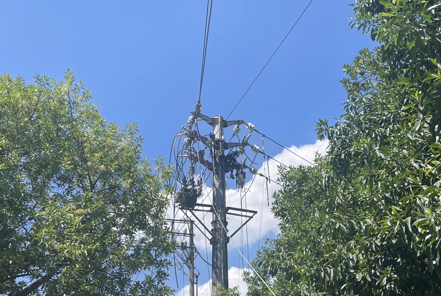 國網(wǎng)余姚市供電公司:線路升級(jí)改造迎戰(zhàn)夏季“烤”驗(yàn)