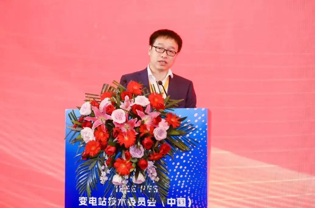 中國電氣裝備代表當選國際電工委員會(IEC )TC