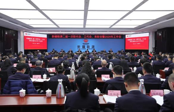 國能新疆能源召開二屆一次職代會、工代會、表彰會暨2025年工作會