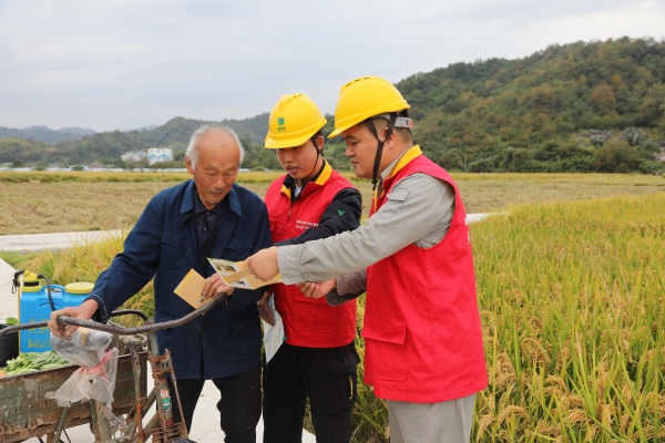 國網臺州市黃巖區供電公司：初冬巡線護豐收 為